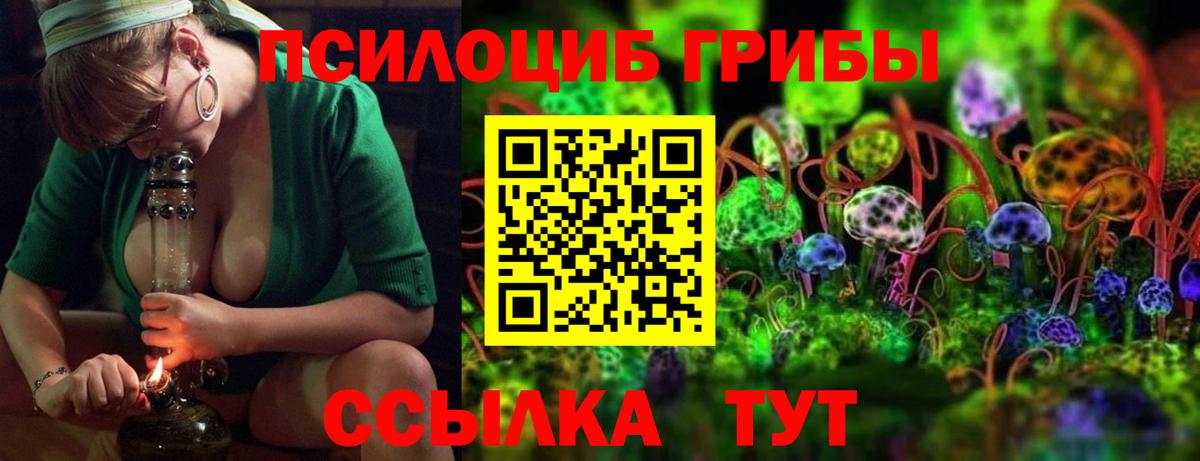Псилоцибиновые грибы мухоморы  как найти   Псилоцибиновые грибы ЛСД  Топки  Вход с VPN 
