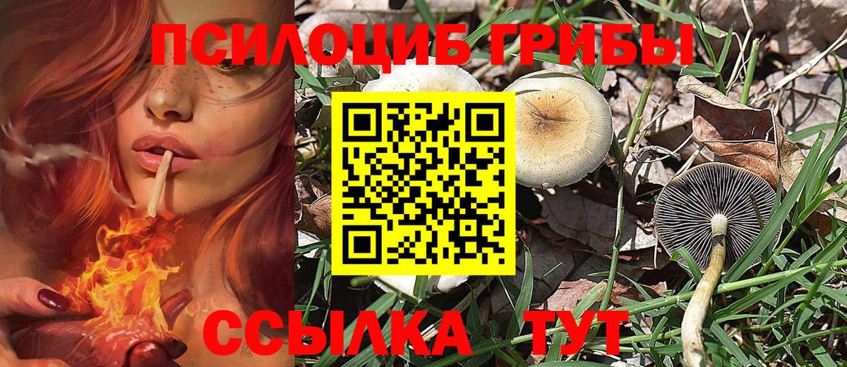 Галлюциногенные грибы GOLDEN TEACHER Топки